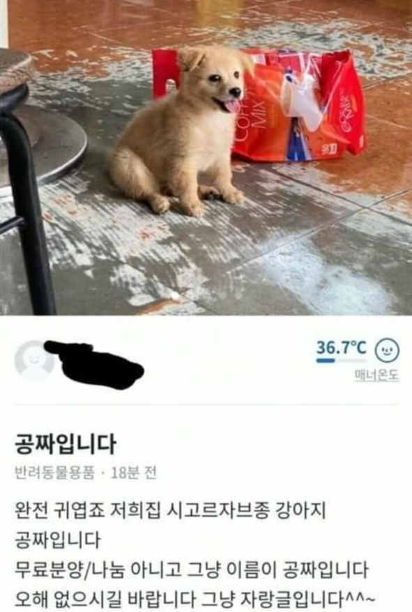  하다하다 공짜까지 나온 당근마켓