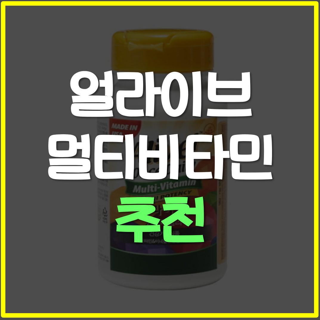  얼라이브 멀티비타민, 종합비타민 추천