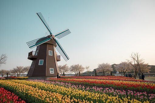 순천만 국가 정원 네덜란드 정원 모습