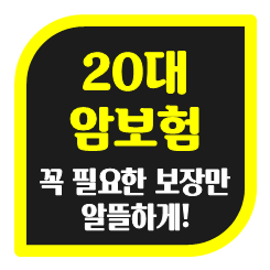  20대 암보험 추천, 오늘의 작은 결정이 내일의 큰 힘이 됩니다.