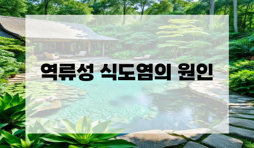 **역류성 식도염의 원인**