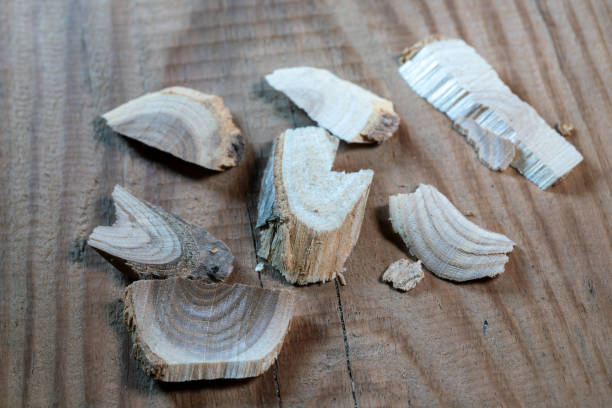 가시오가피의 12가지 장점 8