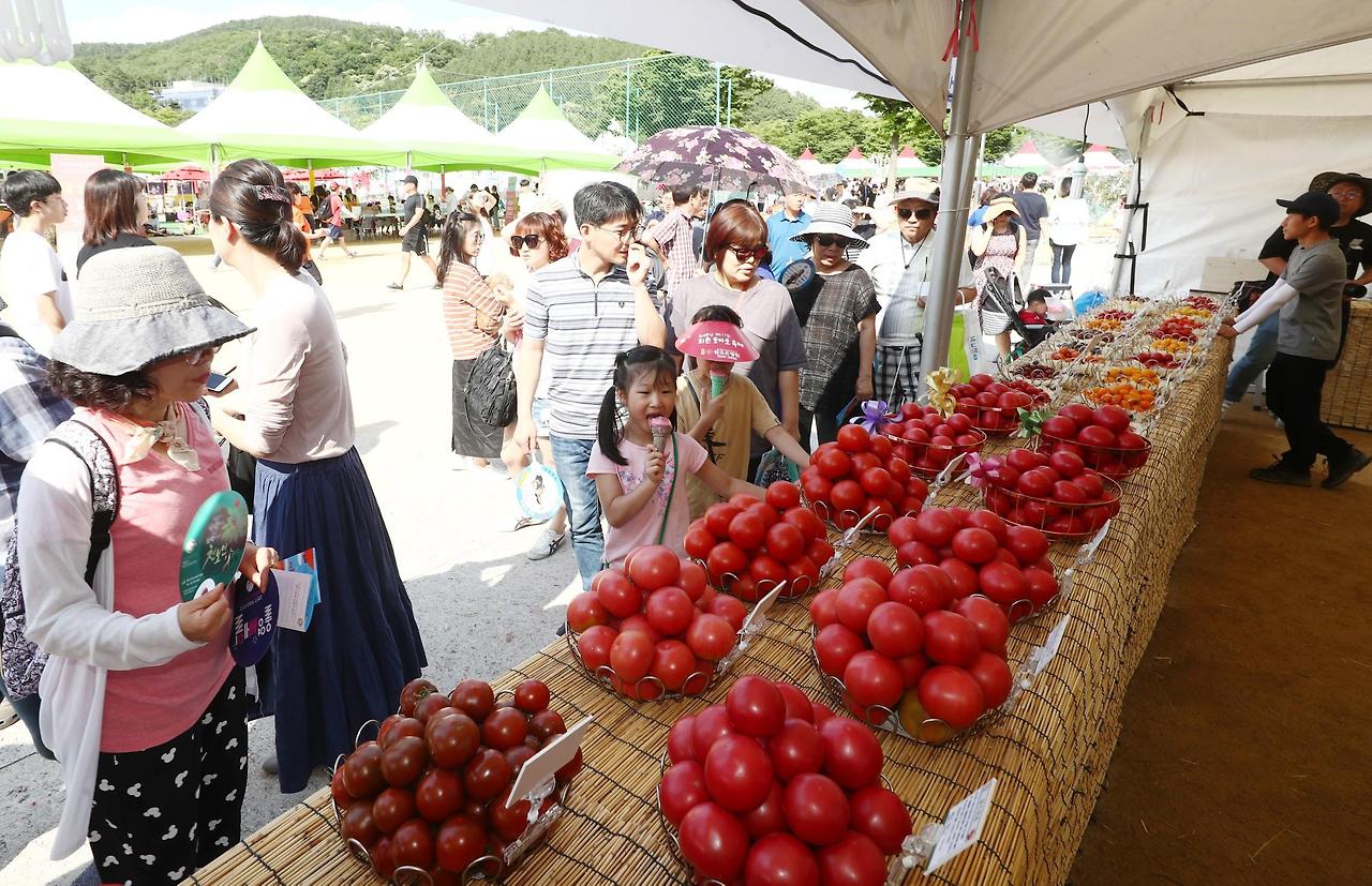 제22회 퇴촌 토마토 축제 기본일정과 프로그램 정리 정동하 소찬휘 박기영 조항조 윤수현 손태진 무룡 써니 임윤성 강자민 출연