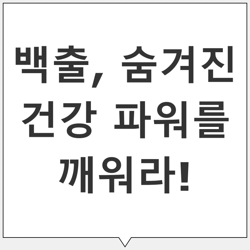 백출 효능_1