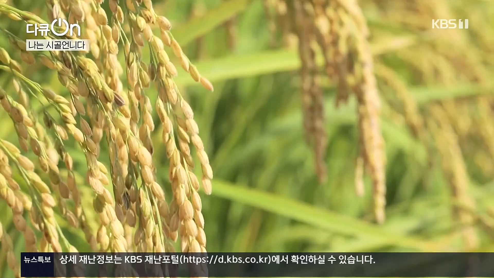 다큐 On.E165p.H264-F1RST.mp4_20221028_212323.004.jpg