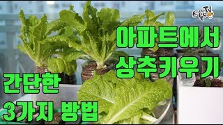  도시농부 (텃밭 만들기/텃밭가꾸기) 주말농장 - 총 65 강