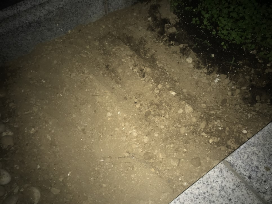 베란다텃밭 딸기 바질 스파클완두 심기