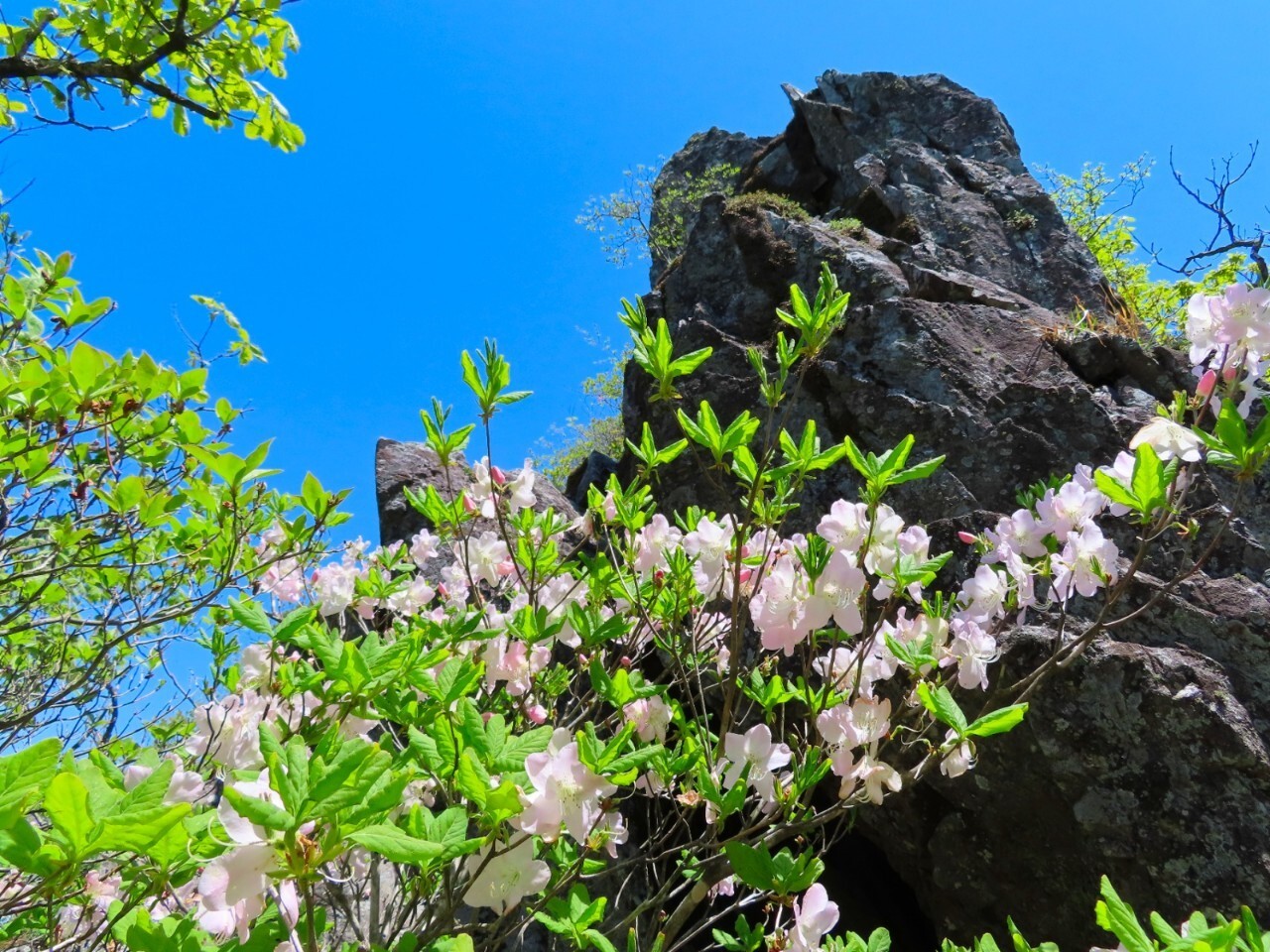 블랙야크 100+, Y출렁다리, 25