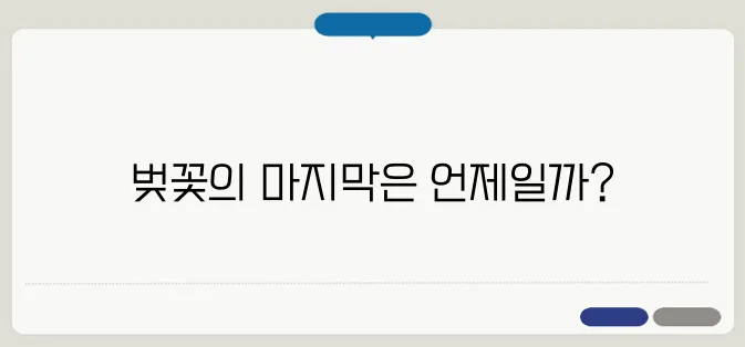 벚꽃 엔딩 언제? 벚꽃이 지는 시기 & 꽃비 명소
