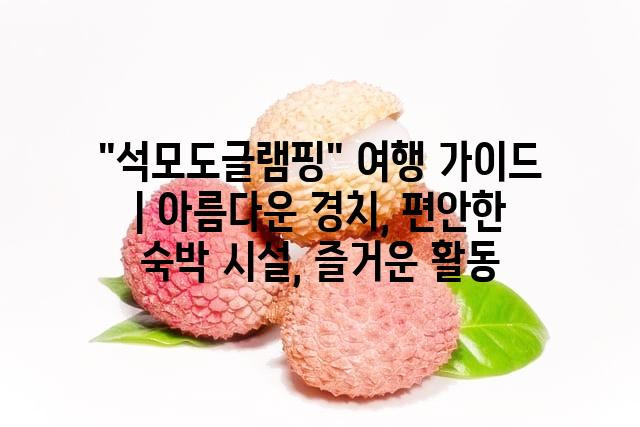 랜덤146