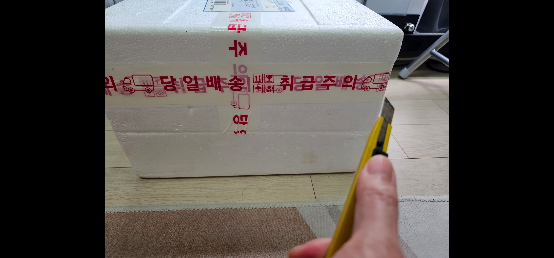 메다카 분양