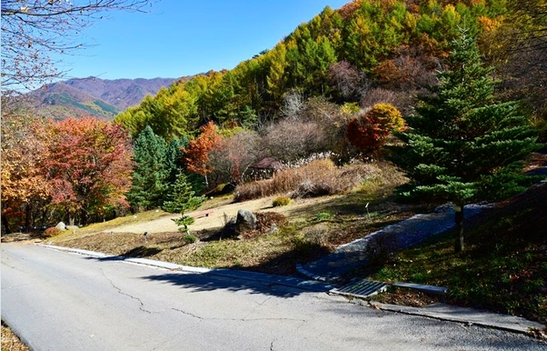 치악산풍경