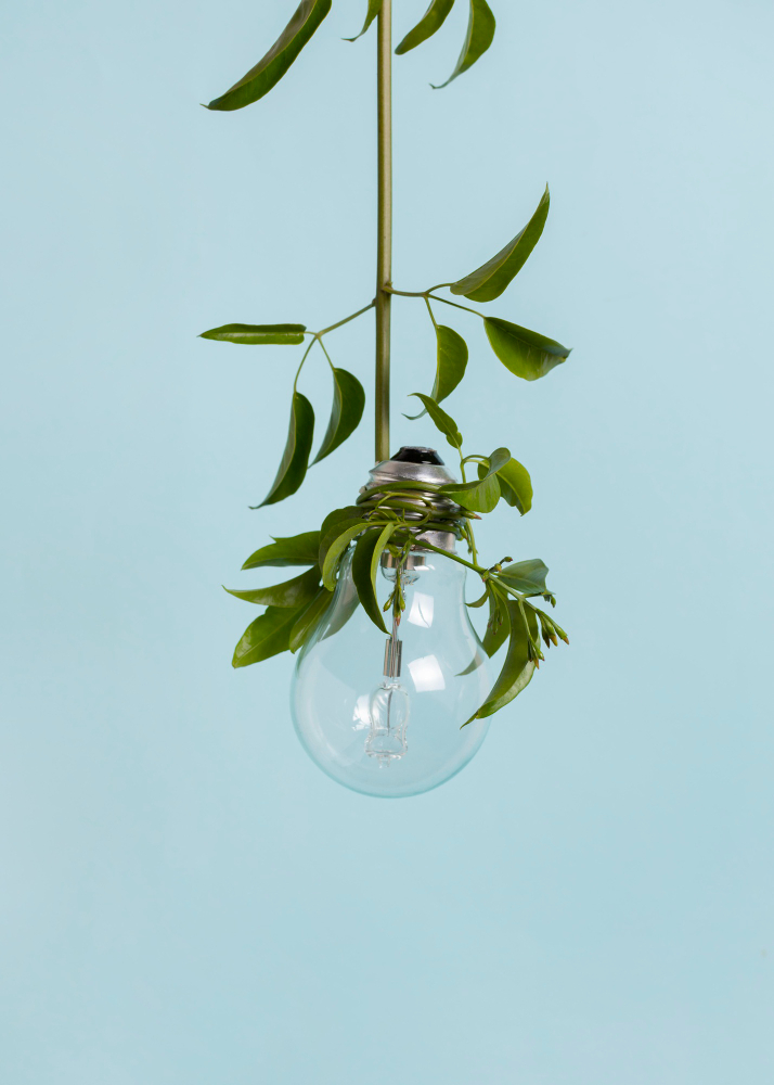LED 조명 식물 재배 – 자연광 없이 키우는 실내 식물 가이드 - Indoor Plant Selection Tips for Beginners