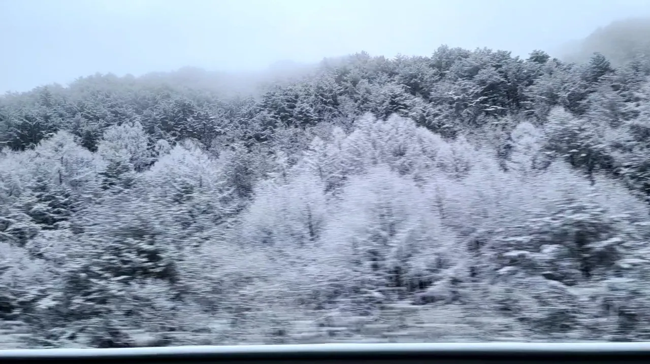 강원도 태백산 설경