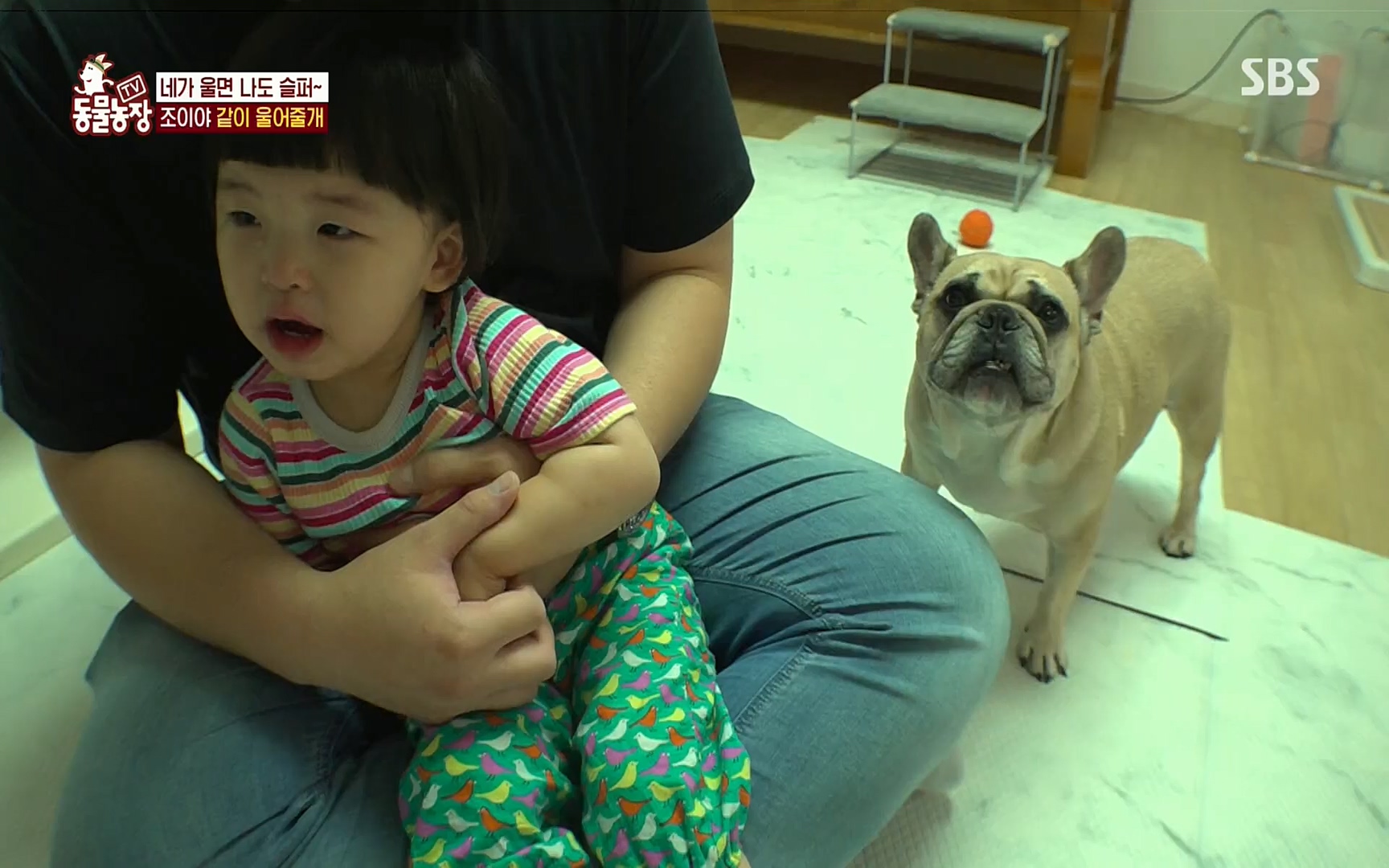 TV 동물농장.E1077.220710p.H264-F1RST.mp4_20220710_175423.806.jpg