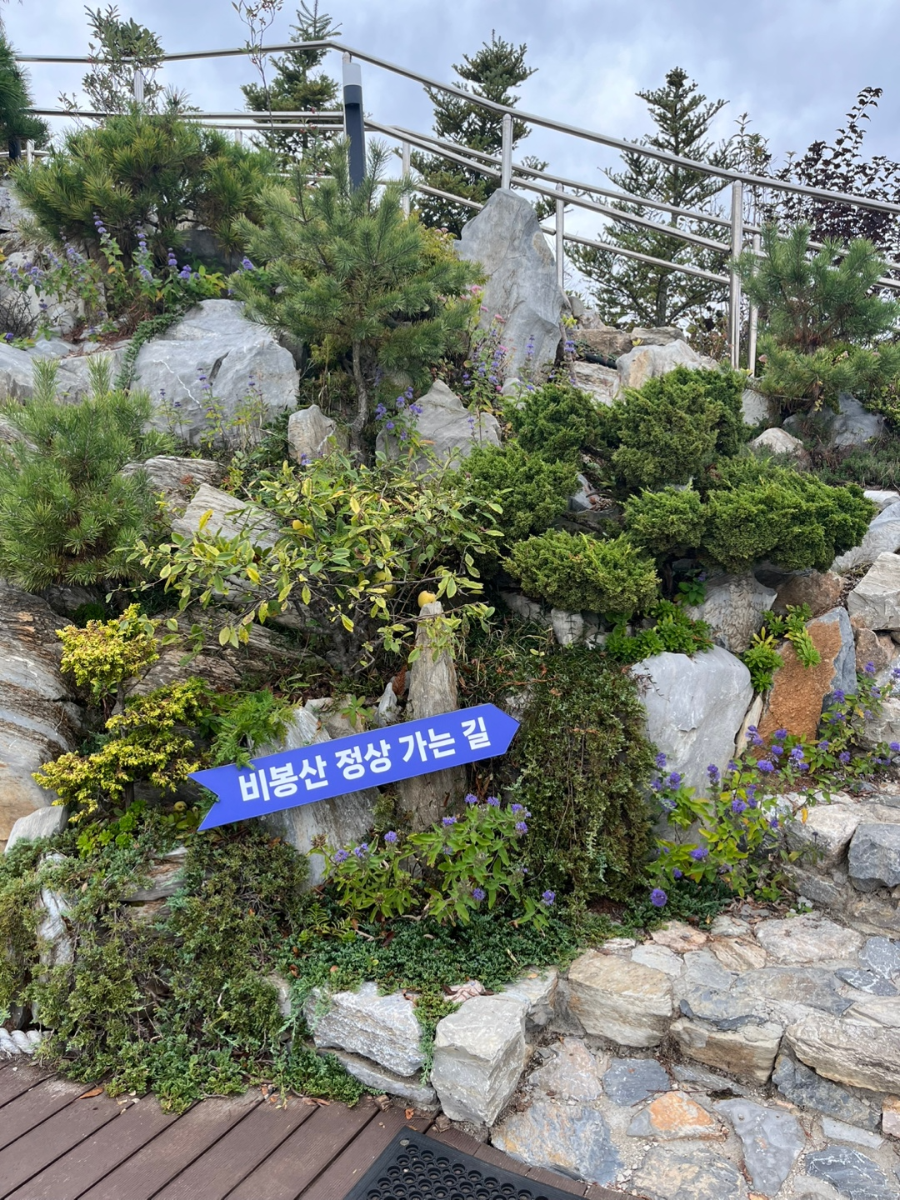 비봉산 정상 가는 길