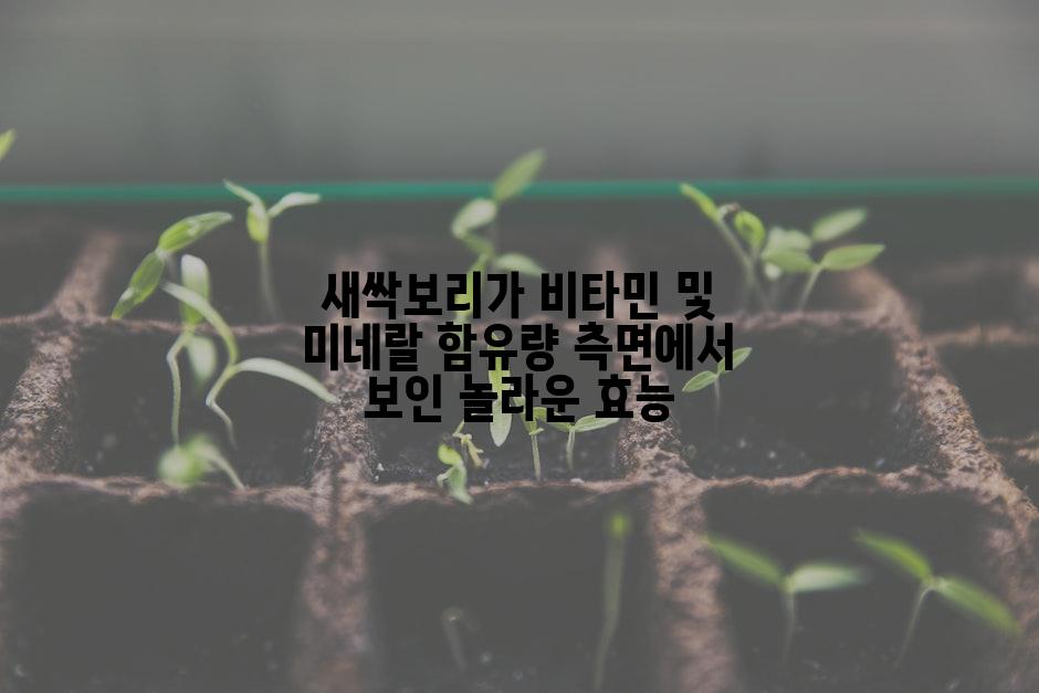새싹보리가 비타민 및 미네랄 함유량 측면에서 보인 놀라운 효능