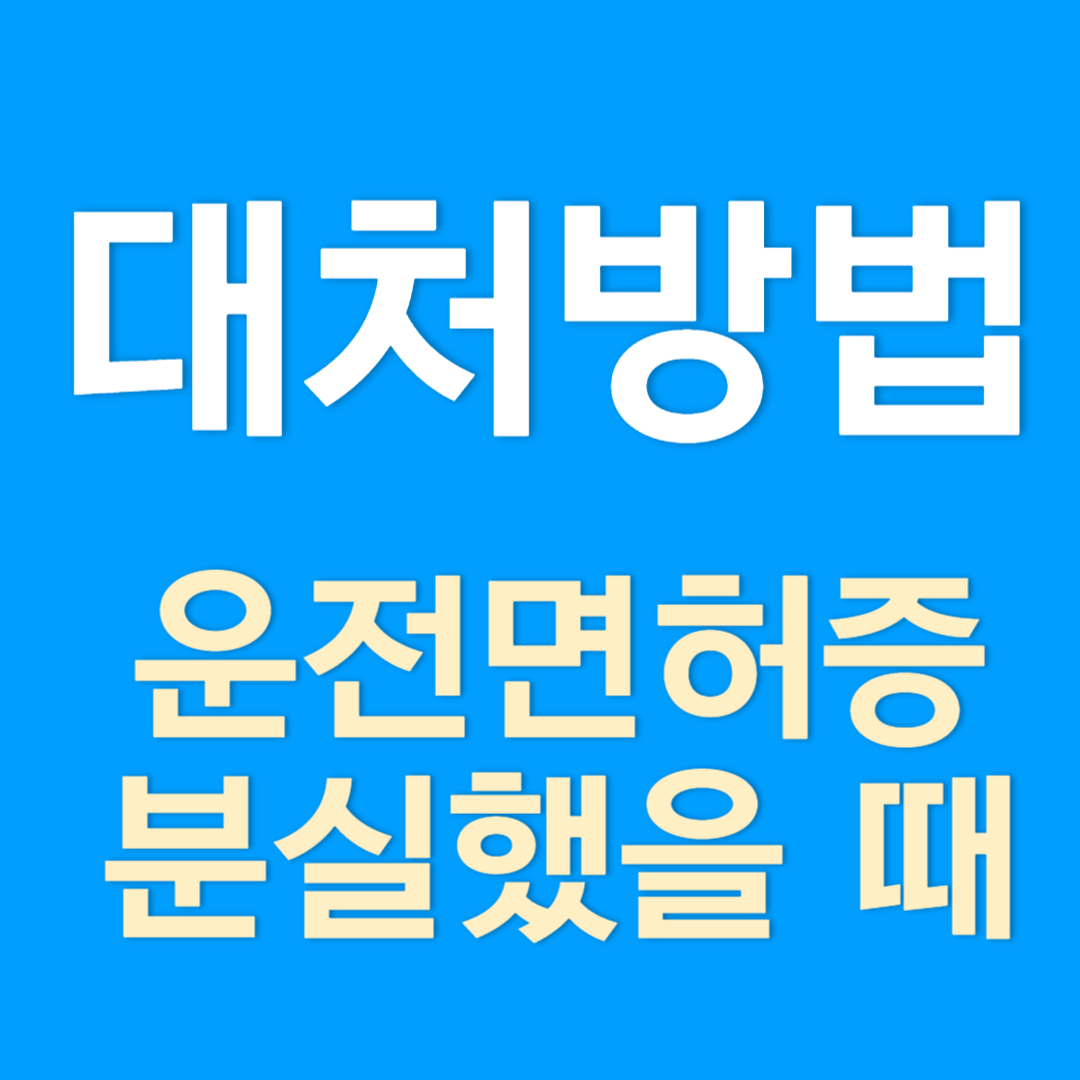 운전면허증 분실했을 때 대처법(분실신고, 재발급, 임시 운전면허증 발급)