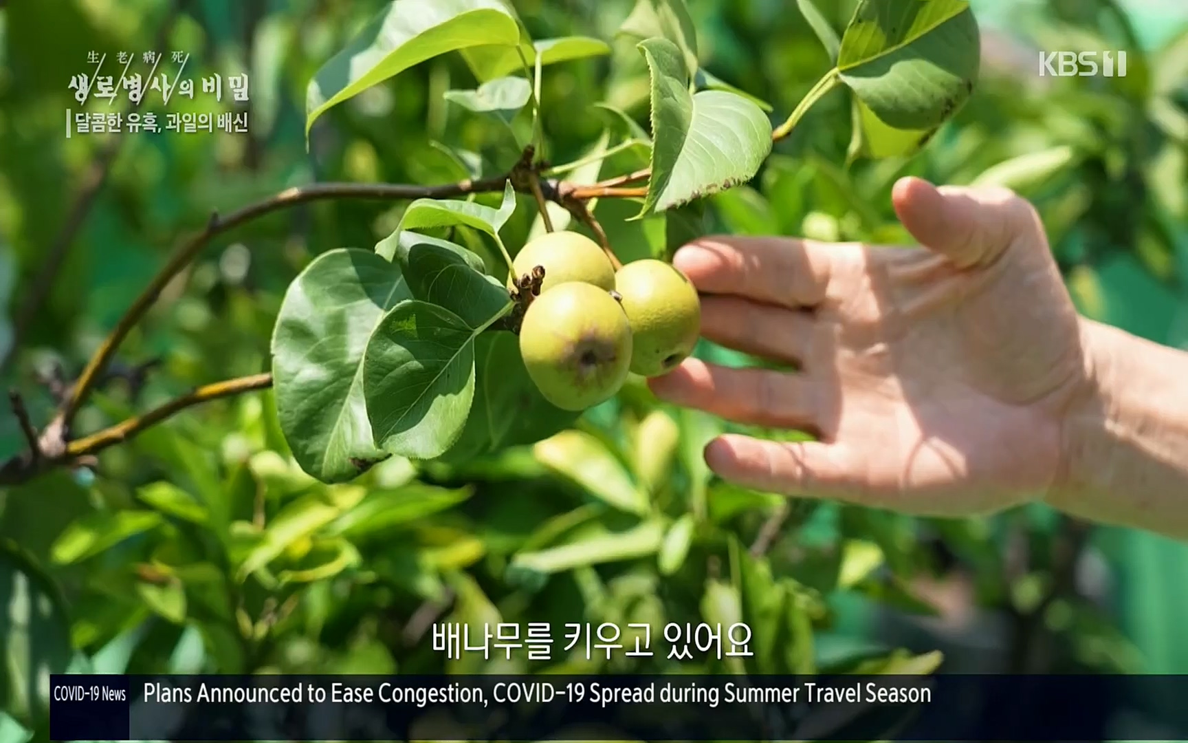 생로병사의 비밀.E829.220803p.H264-F1RST.mp4_20220804_204337.743.jpg