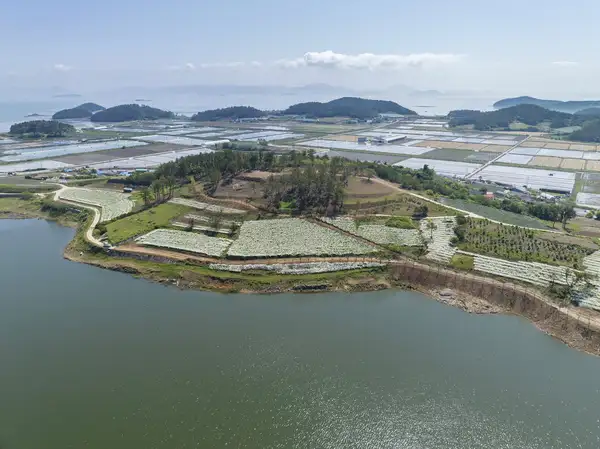 장산도 전경