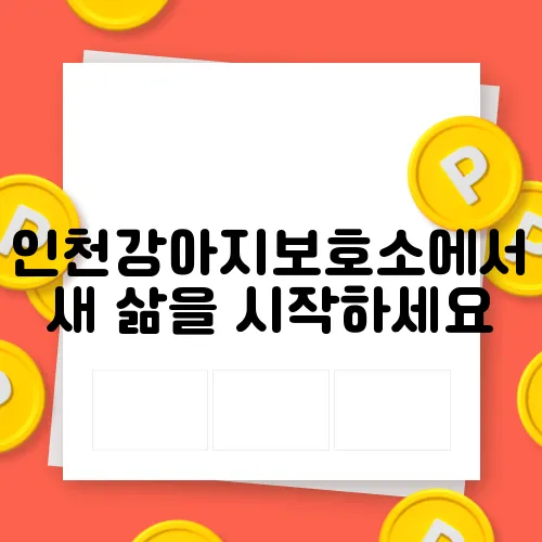 인천강아지보호소에서 새 삶을 시작하세요