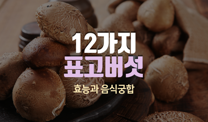 표고버섯의 12가지 효능과 음식궁합