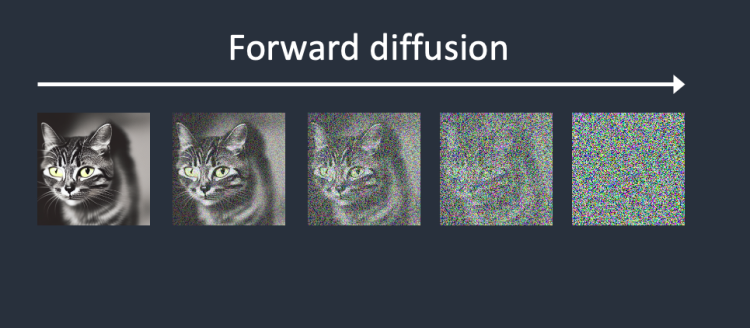고양이 이미지의 순방향 확산 프로세스