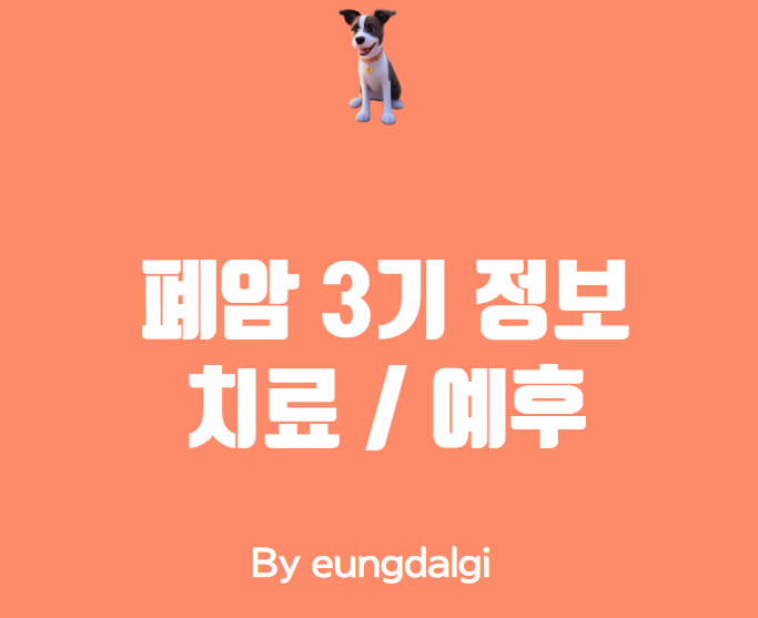  폐암 3기에 대한 정보성 글 (치료 / 예후)