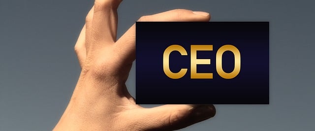CEO, 2030년에도 여전히 꿈의 직업
