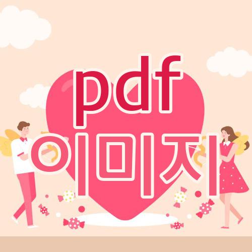 pdf 이미지