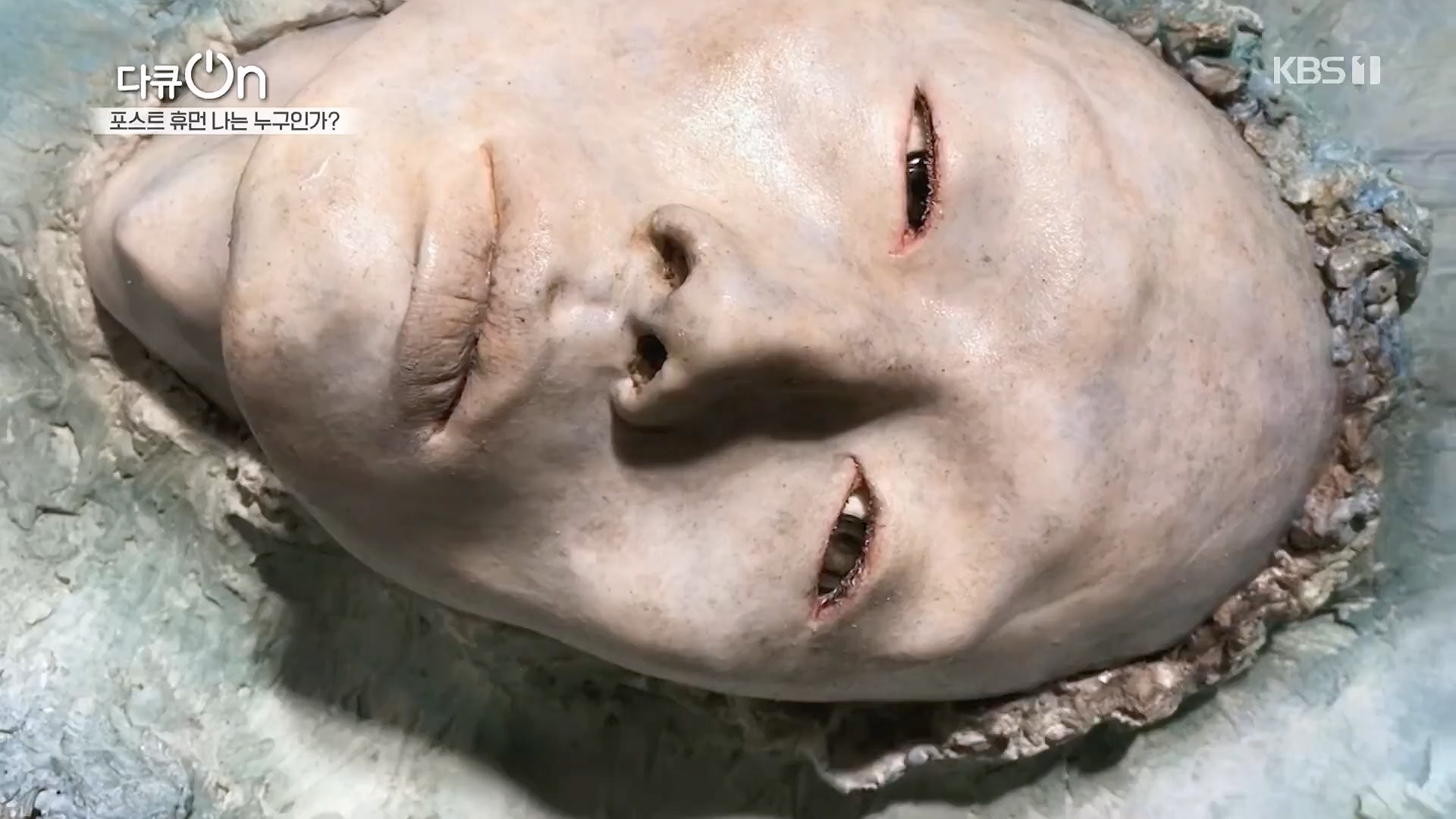 다큐 On.E196.230428p.H264-F1RST.mp4_20230430_175518.885.jpg
