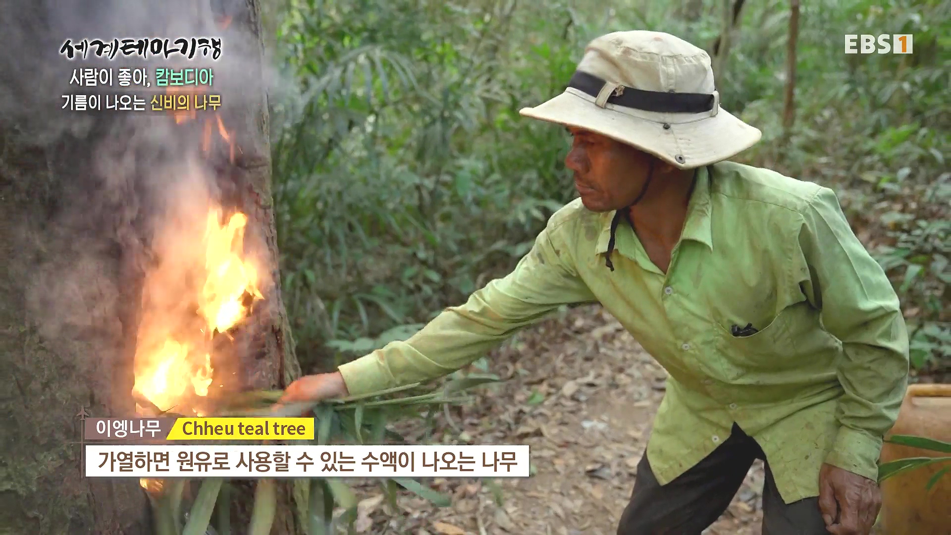 세계테마기행 240205 사람이 좋아, 캄보디아 -즐거운 나의 집, 몬둘키리0p.mp4_20240729_194550.910.jpg