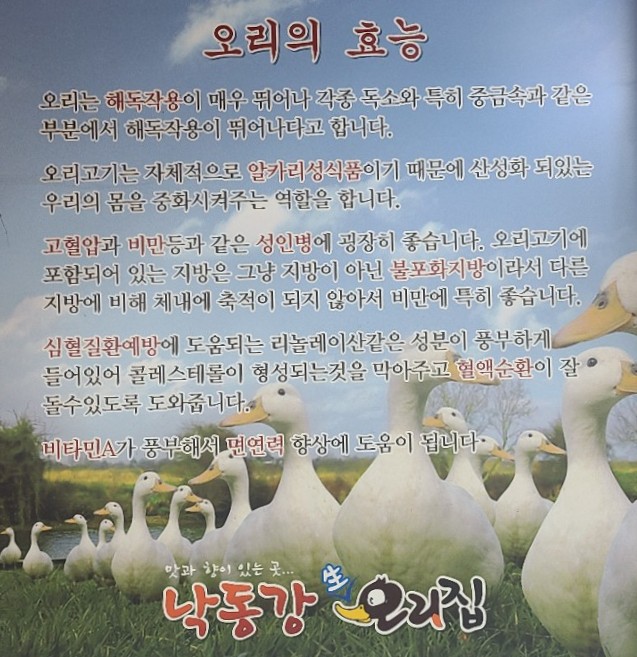 낙동강생오리집 사진 2