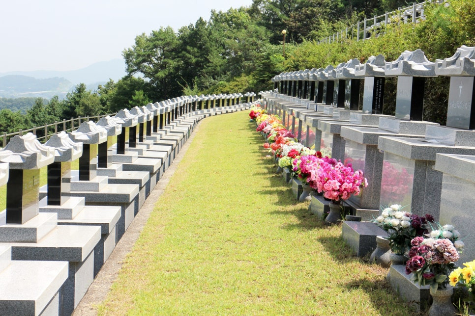 조문객50명