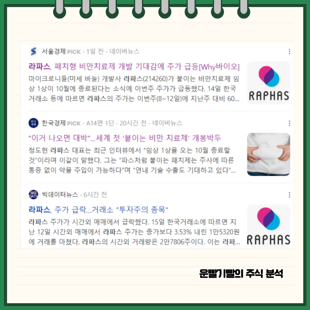 라파스 뉴스