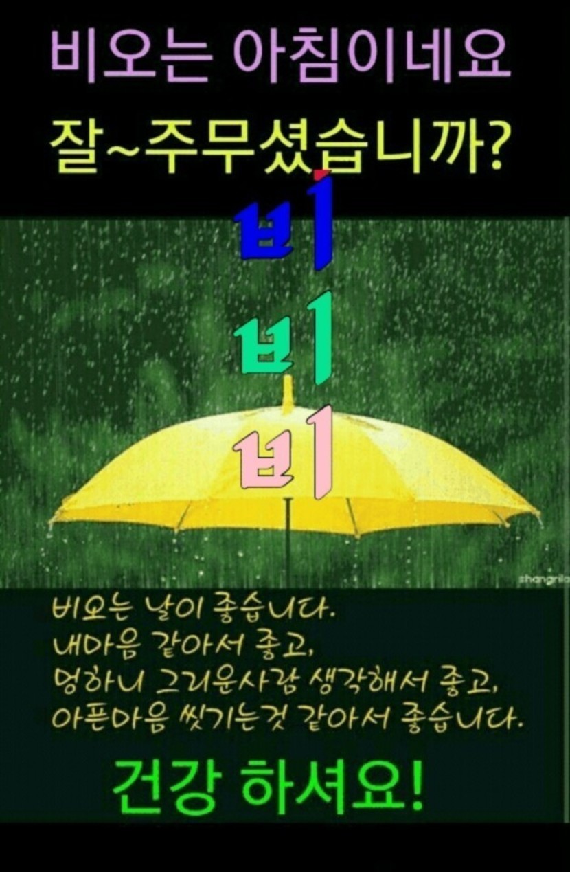 ⛈️비오는날 인사말 이미지 장마철 추천 안부 문구 그림 모음⛈️