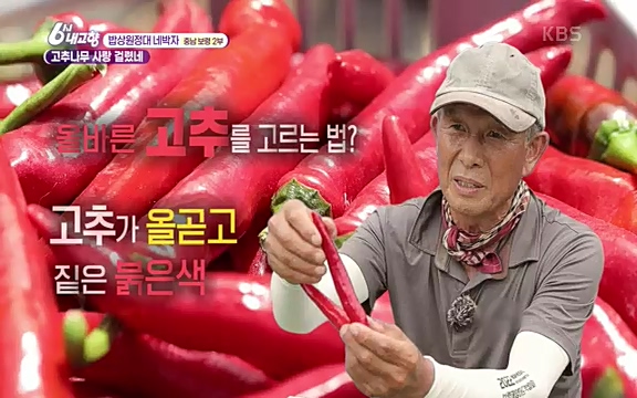 220815_발길따라 고향 기행.ts_20220823_181515.831.jpg