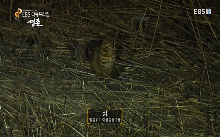 EBS 다큐프라임_ 220628.avi_20220629_210005.306.jpg