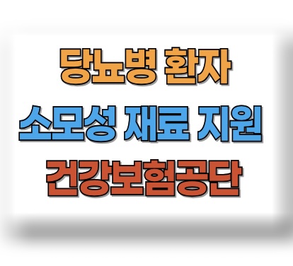 당뇨병 소모성 재료 지원