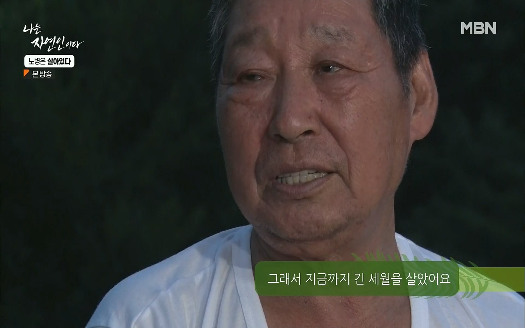 나는 자연인이다.E512.220727p.H264-F1RST.mp4_20220728_200923.117.jpg