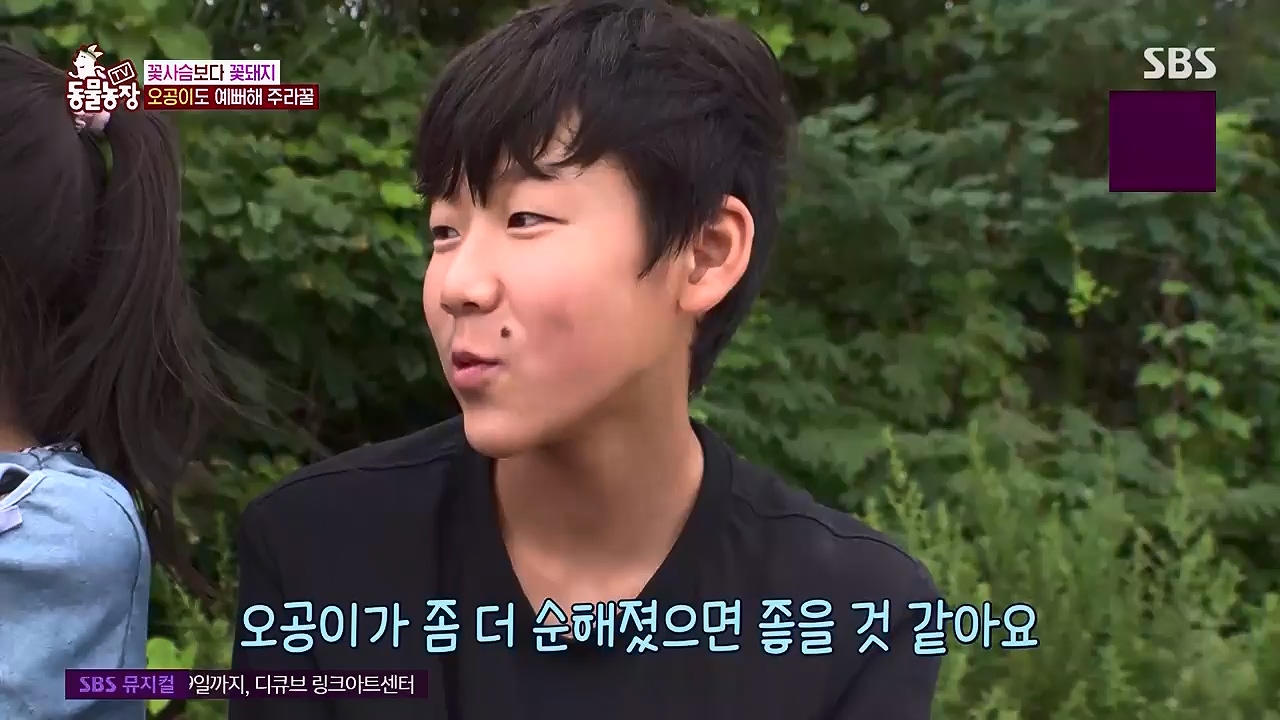 TV 동물농장 1189화 다시보기.ts_20240922_161950.098.jpg