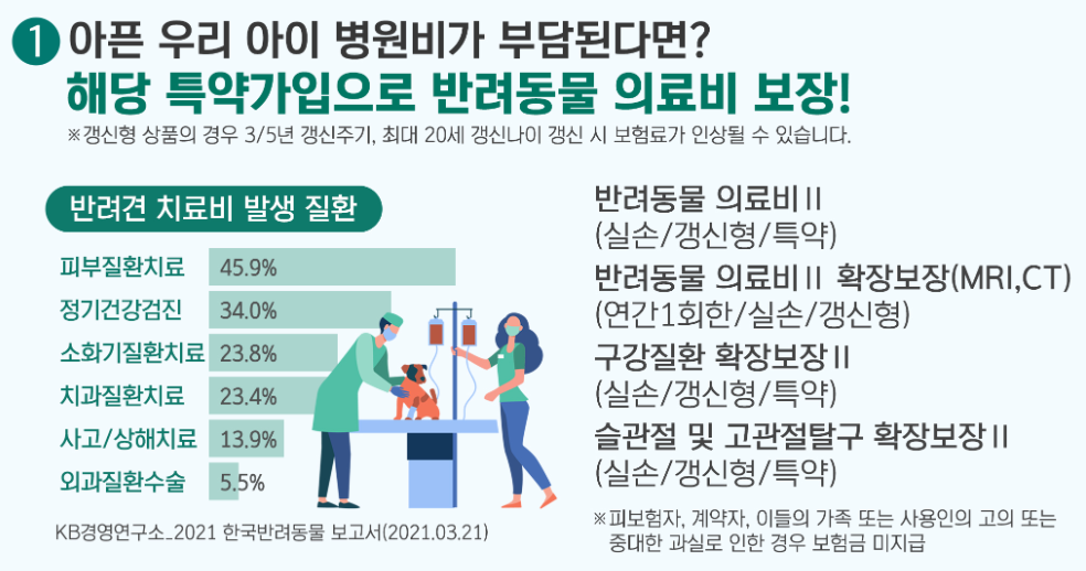 펫보험 펫실비보험 반려견 반려묘