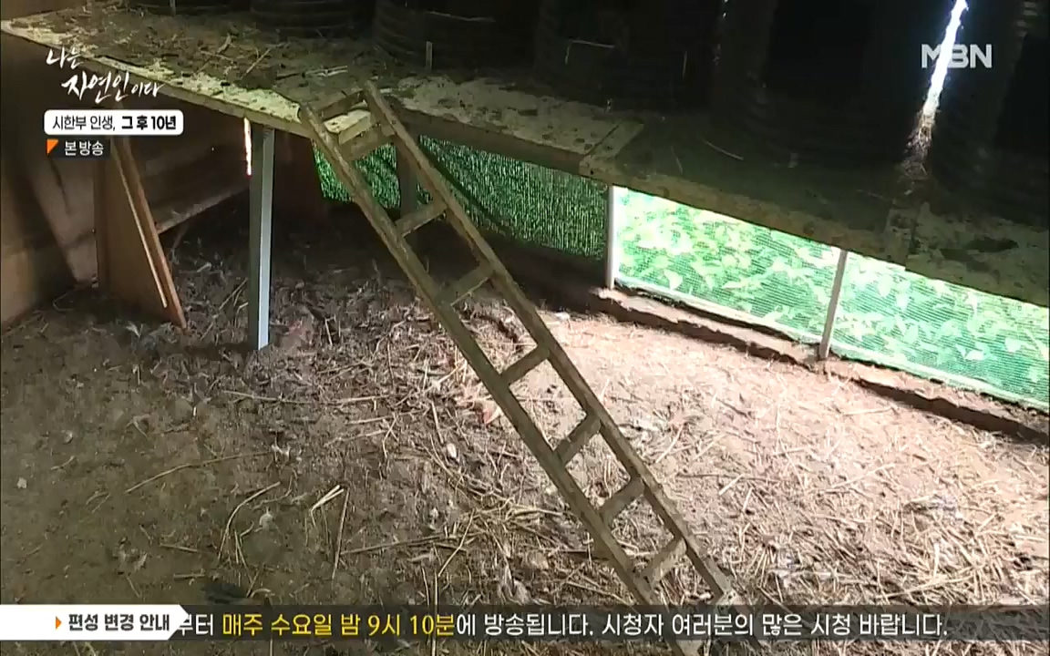 나는 자연인이다.E518.220908p.WANNA.mp4_20220908_200813.559.jpg