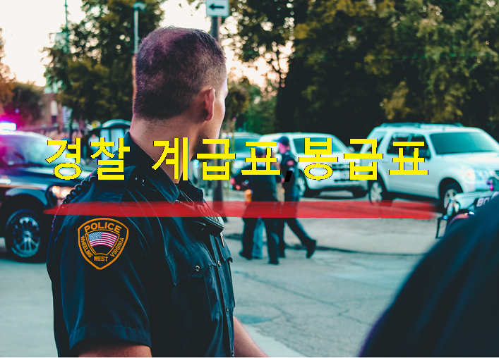  경찰 계급표와 업무, 봉급표 알아보기