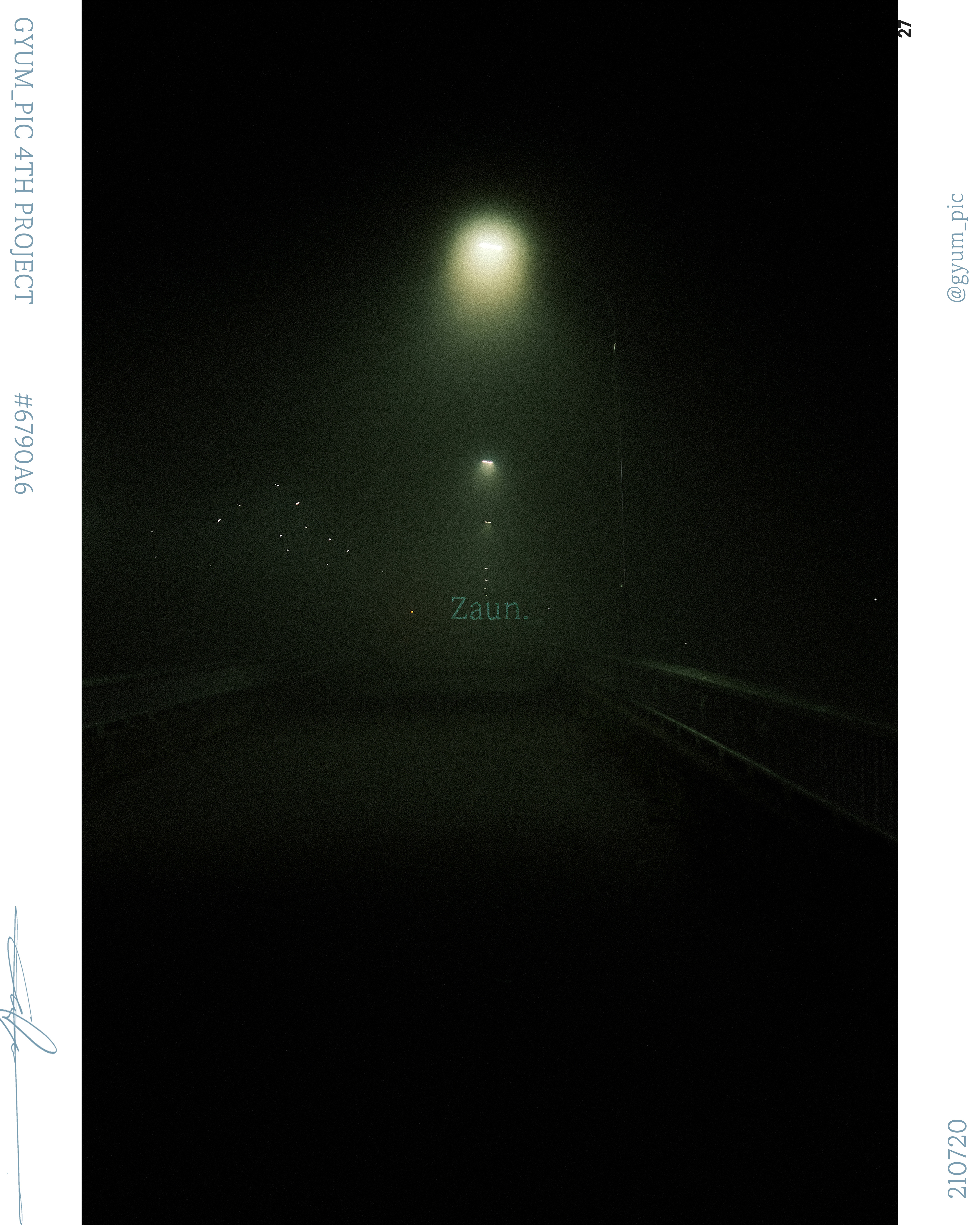  #2a3821 Zaun.