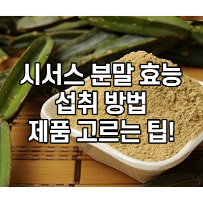 시서스 가루