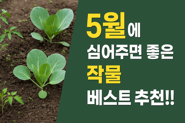 5월-텃밭-작물-베스트-추천