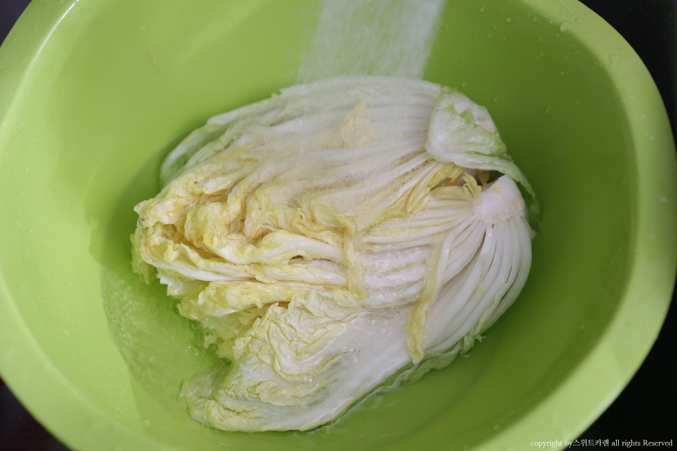 짠맛 김장봉투로 간단하게 속이 꽉 찬 배추절임 배추절임 시간 19