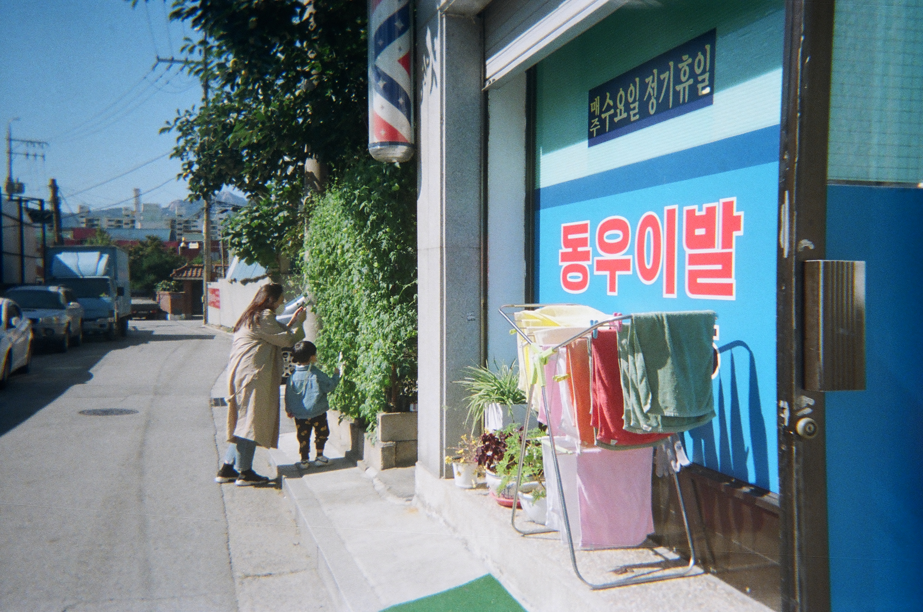  필름사진1] 아기 40개월. 동우이발. 과학관. 감나무.