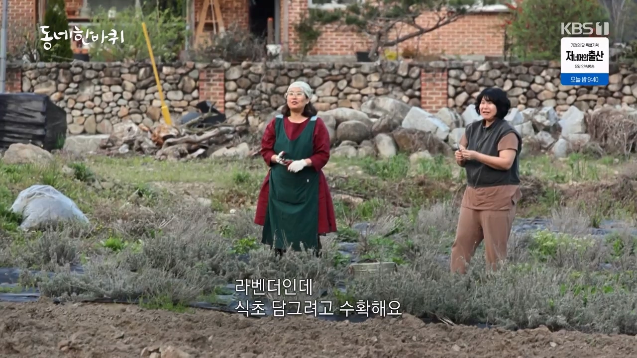 동네 한 바퀴.E272.240505p-NEXT.mp4_20240505_160322.270.jpg